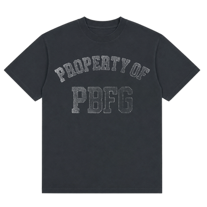 Property, T-Shirt